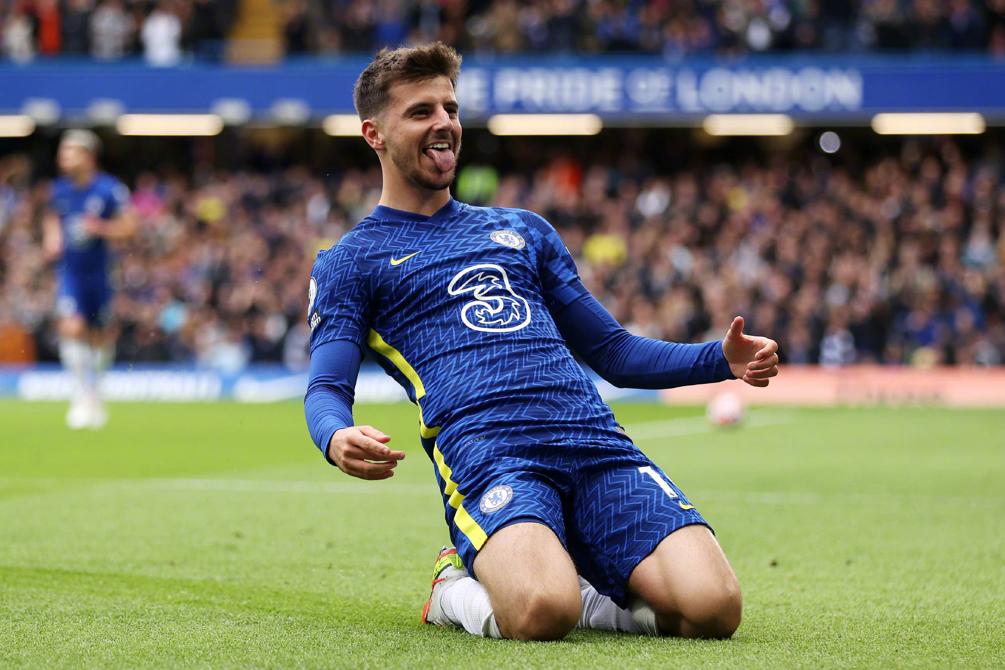 在报道中介 在报道中介